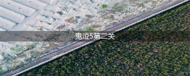 《鬼泣5》第二关攻略 第二关打法技巧分享(鬼泣5第二关)