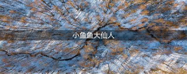 《炉石传说》小鱼鱼大仙人建议玩家随心所欲 世俱杯Ban贼牧思路领先(小鱼鱼大仙人)