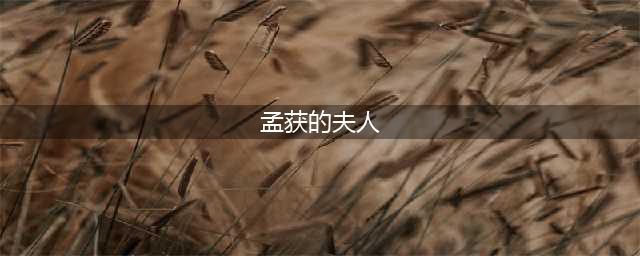 《吞食孔明传》祝融怎么玩 祝融武将属性技能及玩法介绍(孟获的夫人)