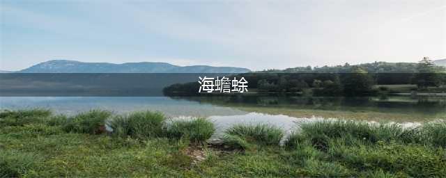 《绿色地狱》海蟾蜍食用效果是什么 海蟾蜍食用效果一览(海蟾蜍)