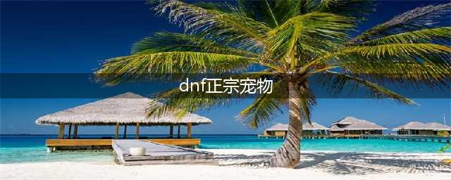 《dnf》普雷宠物怎么样 宠物外观及属性汇总(dnf正宗宠物)