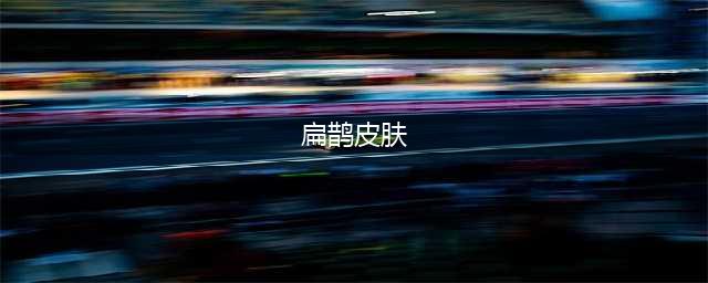 《王者荣耀》2023扁鹊皮肤大全