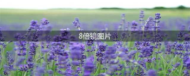 《和平精英》8倍镜图鉴一览 8倍镜使用方法