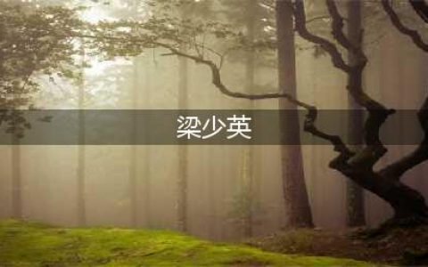 小林青霞的首个公认男友，和恩师反目，经纪人身亡，一代巨星的兴衰(梁少英)
