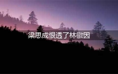 真实的梁思成林徽因：婚后充满矛盾(梁思成恨透了林徽因)