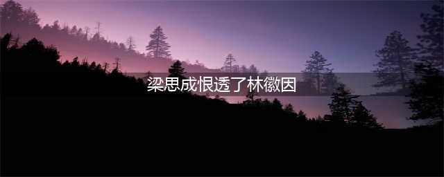 真实的梁思成林徽因：婚后充满矛盾(梁思成恨透了林徽因)