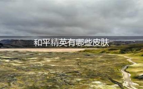 和平精英皮肤大全一览