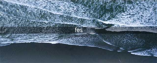 《公主连接》fes什么意思 fes介绍(fes)