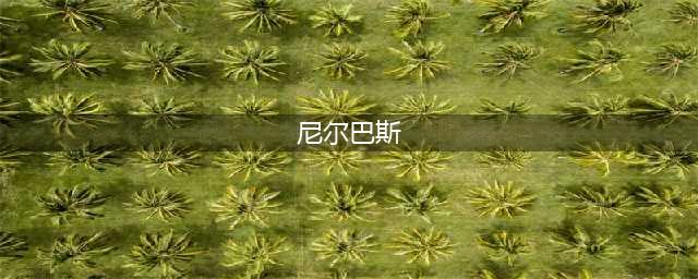 《DNF》阿拉德谋略战第二季尼尔巴斯怎么玩 尼尔巴斯玩法思路指南