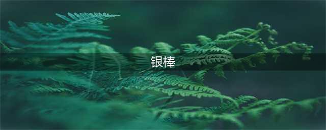 魔兽世界银棒怎么买
