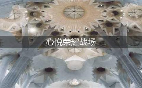 DNF心悦荣耀战场成就点怎么获得(心悦荣耀战场)