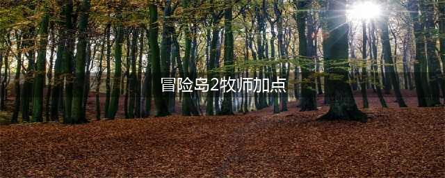 冒险岛2牧师加点方法 牧师怎么加点(冒险岛2牧师加点)