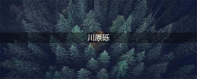 《刀剑神域》作者川原砾深度访谈(川原砾)