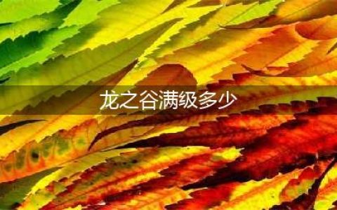 龙之谷2等级上限提升介绍