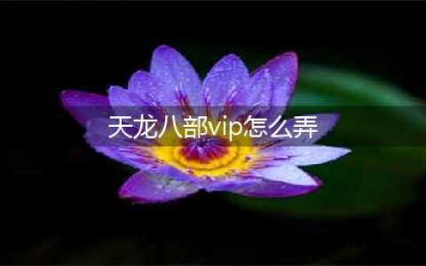 《天龙八部手游》vip等级充值推荐(天龙八部vip怎么弄)