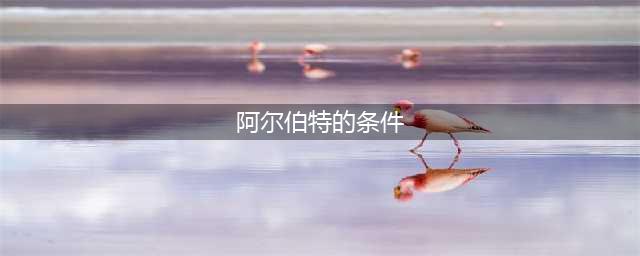 dnf偷学技能达成阿尔伯特的条件(阿尔伯特的条件)