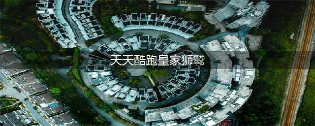 天天酷跑皇家狮鹫解析 皇家狮鹫有没有购买价值