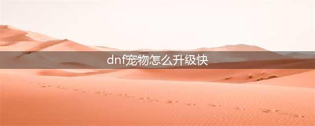 《DNF》2020夏日套宠物怎么升级 2020夏日套宠物快速升级攻略(dnf宠物怎么升级快)