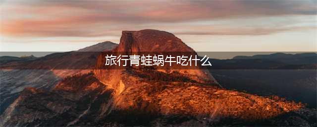 《旅行青蛙》蜗牛喜欢吃什么汇总 蜗牛食物喜好介绍(旅行青蛙蜗牛吃什么)