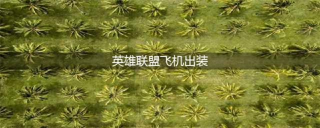 《lol》12.14版本中单飞机玩法出装推荐