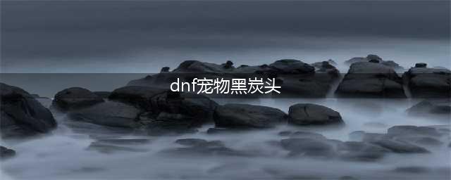 《DNF》宠物幻化宠物有哪些好看的 宠物幻化宠物推荐汇总(dnf宠物黑炭头)