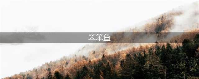 口袋妖怪漆黑的魅影笨笨鱼怎么钓
