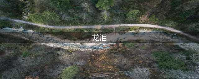 《战神4》龙泪有什么用 龙泪效果及获得方法(龙泪)