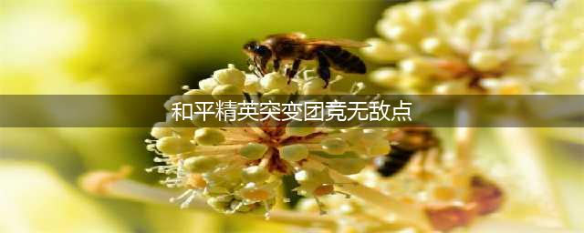 和平精英突变团竞2.0无敌点有哪些 和平精英突变团竞2.0无敌点介绍
