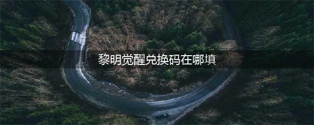 《黎明觉醒》兑换码在哪填 兑换码输入方法