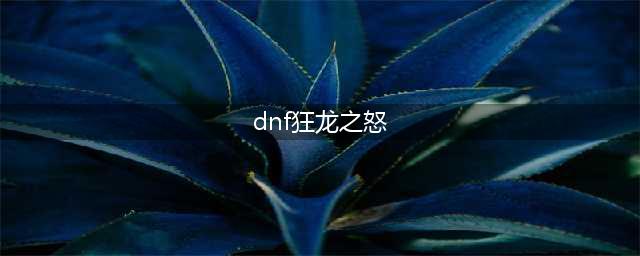 《DNF手游》狂龙之怒怎么样 狂龙之怒属性一览