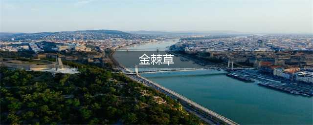 《魔兽世界》金棘草哪里比较多 金棘草位置分享(金棘草)