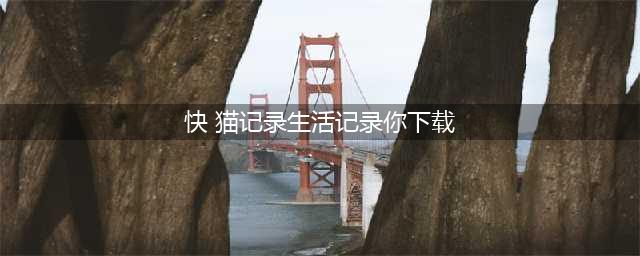 《小森生活》养宠物攻略 养猫快速提升亲密度(快 猫记录生活记录你下载)