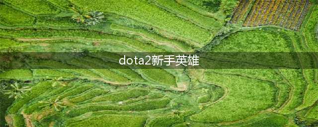刀塔2新手适合哪个英雄 新手英雄选择推荐(dota2新手英雄)