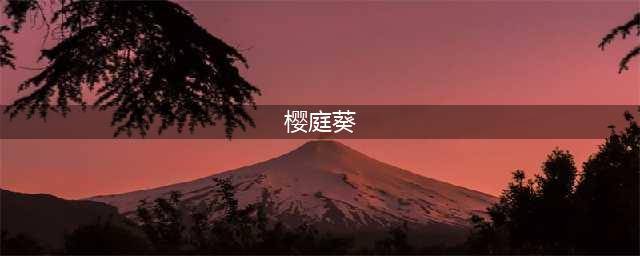 娶妻当如樱庭葵生女当如 冲顶大会答案大全(樱庭葵)