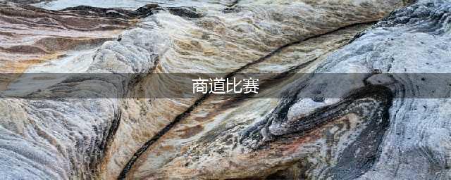 《商道高手》金融峰会冠军赛怎么玩 金融峰会冠军赛玩法攻略(商道比赛)