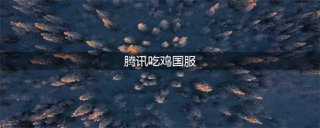 《绝地求生》国服将上架腾讯WeGame 绝地求生国服12月20日上线