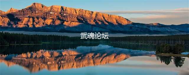 《武魂》白色情人节论坛活动(武魂论坛)