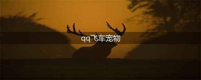 QQ飞车宠物大全介绍及宠物图展示(qq飞车宠物)
