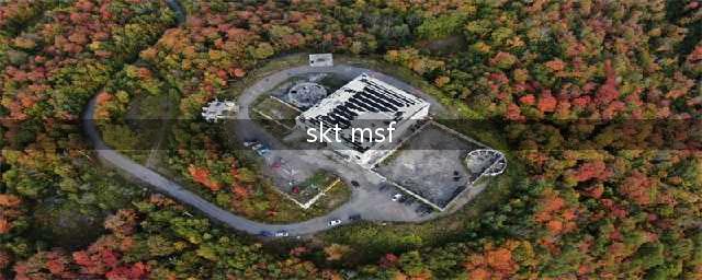《lol》全球总决赛MSF选手直播谈SKT(skt msf)