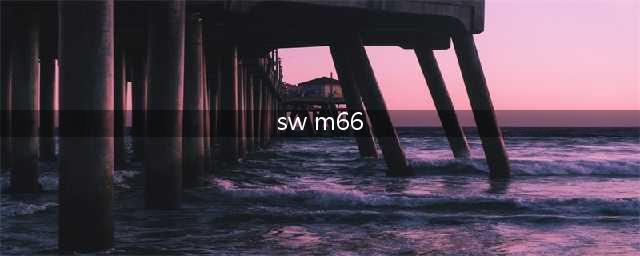 cf暗杀型武器盘点 cf暗杀型武器排行榜一览(sw m66)
