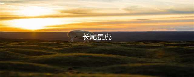 《FGO》长尾景虎怎么样 长尾景虎属性资料图鉴(长尾景虎)