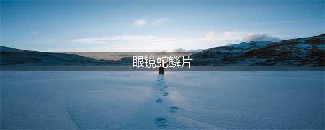 虚空毒蛇腿甲片材料(眼镜蛇鳞片)