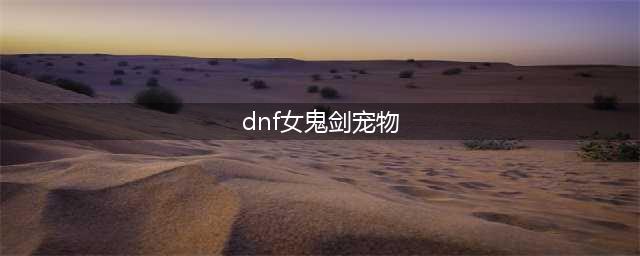 《DNF》女鬼剑二觉宠物外观属性介绍(dnf女鬼剑宠物)