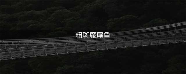 粗斑魔尾鱼在哪里钓 位置分享(粗斑魔尾鱼)