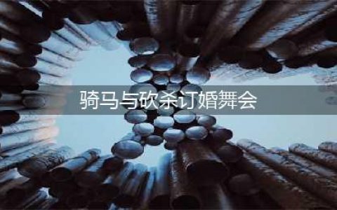 《骑马与砍杀：无双三国》订婚舞会XXOO方法(骑马与砍杀订婚舞会)