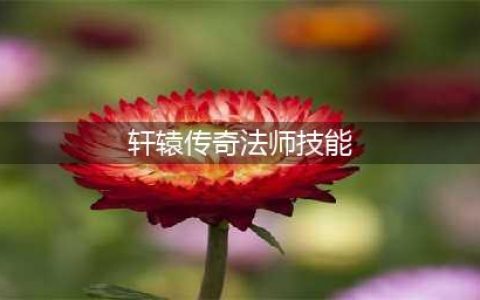 《轩辕传奇手游》法师好玩吗 法师职业玩法特点介绍(轩辕传奇法师技能)