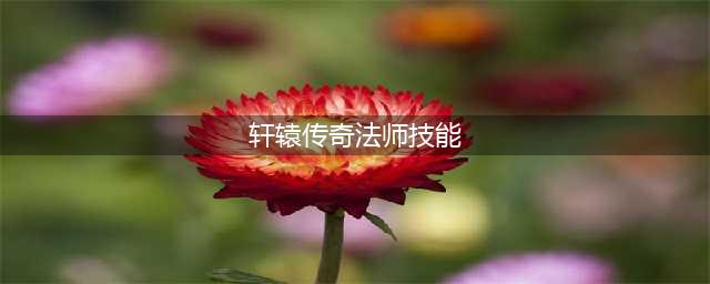 《轩辕传奇手游》法师好玩吗 法师职业玩法特点介绍(轩辕传奇法师技能)