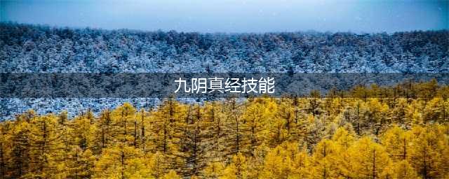《九阴真经》里面有什么招式