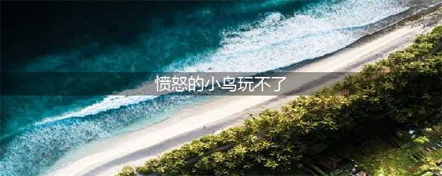 愤怒的小鸟:进化玩不了怎么办 愤怒的小鸟:进化黑屏闪退解决教程