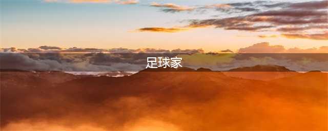 "绿茵传奇"惠家康：挥别球场，开启人生新篇章(足球家)